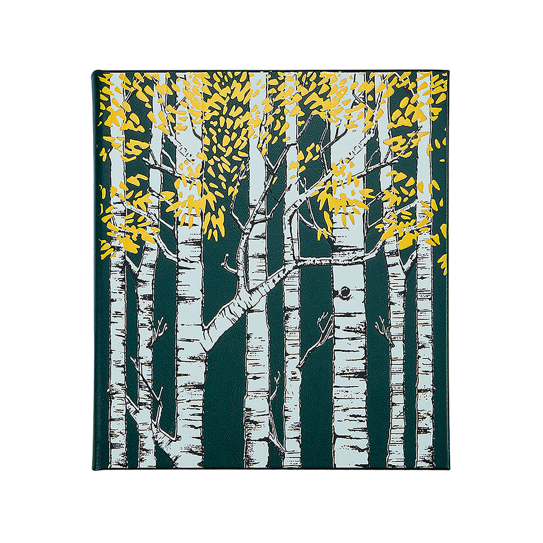 The Hidden Life of Trees