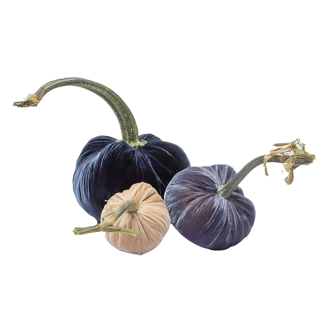 Twilight Velvet Pumpkins, Set of 3